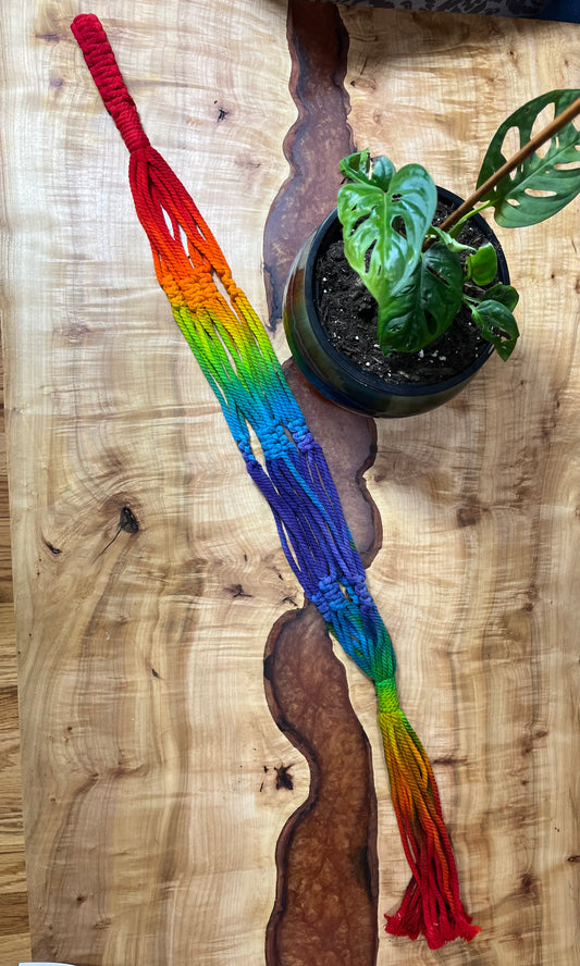 Macrame' Rainbow plant holder